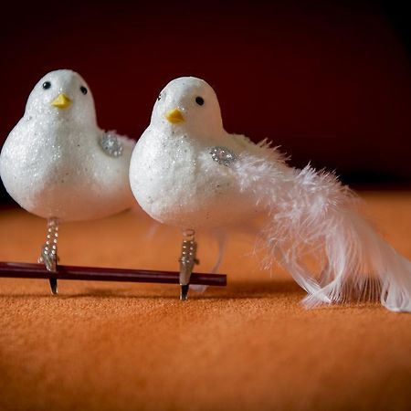 예페르 Two White Pigeons 빌라 객실 사진