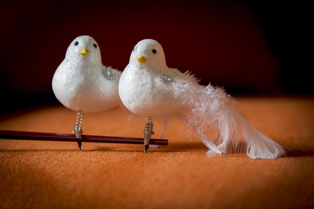 예페르 Two White Pigeons 빌라 객실 사진